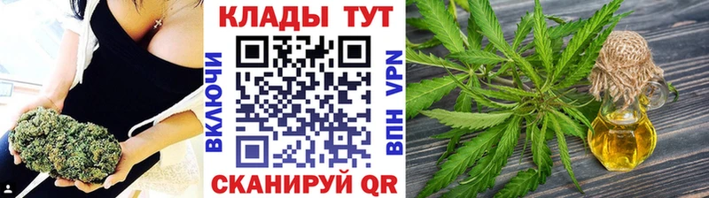 Купить закладку Моршанск ГАШ  Марихуана  Псилоцибиновые грибы  Меф мяу мяу 